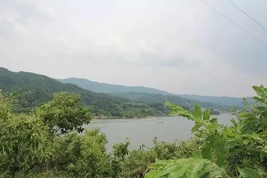 全国补硒健康工程管理办(全国补硒健康工程管理办)-硒宝网