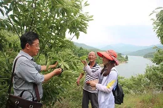 全国补硒健康工程管理办(全国补硒健康工程管理办)-硒宝网