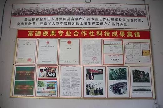 全国补硒健康工程管理办(全国补硒健康工程管理办)-硒宝网