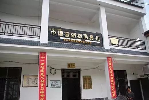 全国补硒健康工程管理办(全国补硒健康工程管理办)-硒宝网