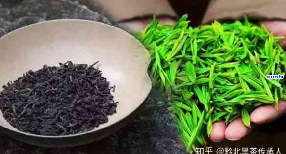 吃什么茶叶补硒最快最好（喝茶补硒吗）-硒宝网