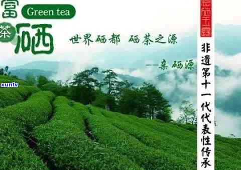 吃什么茶叶补硒最快最好（喝茶补硒吗）-硒宝网