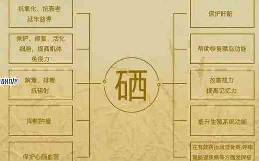 吃什么茶叶补硒最快最好（喝茶补硒吗）-硒宝网