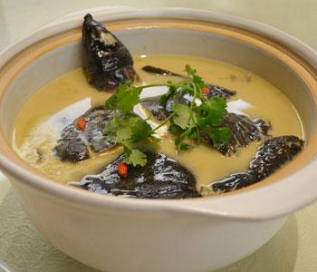 补硒会不会影响月经提前（月经提前影响备孕吗）-硒宝网