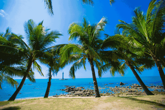 80岁以上老人补硒多少(老人补硒的危害)-硒宝网