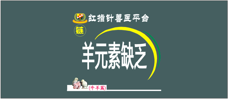 羔羊补硒过量中毒怎么解（羊羔硒中毒了怎么治）-硒宝网