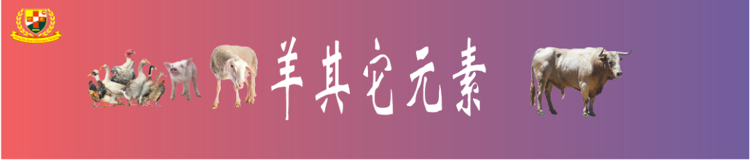 羔羊补硒过量中毒怎么解（羊羔硒中毒了怎么治）-硒宝网