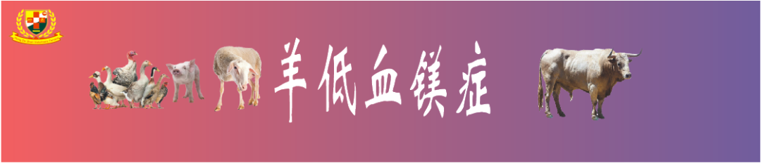 羔羊补硒过量中毒怎么解（羊羔硒中毒了怎么治）-硒宝网