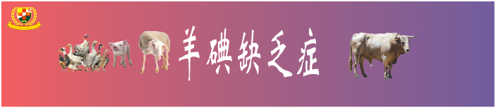 羔羊补硒过量中毒怎么解（羊羔硒中毒了怎么治）-硒宝网