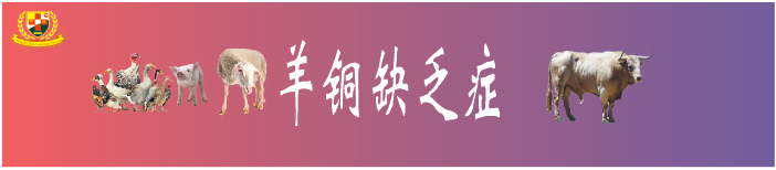 羔羊补硒过量中毒怎么解（羊羔硒中毒了怎么治）-硒宝网