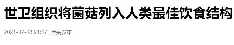 成人补硒补锌买哪种最好(成人补充锌硒有什么好处)-硒宝网