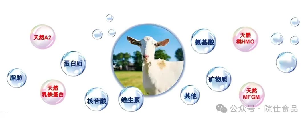 中老年如何补硒减肥最好(补硒减肥吗)-硒宝网