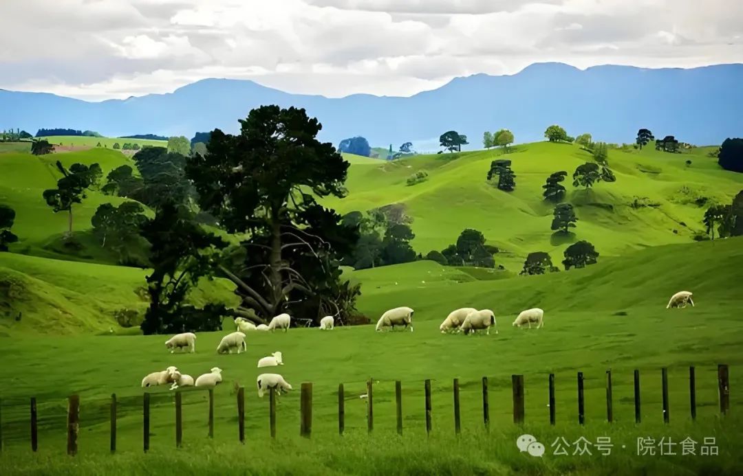 中老年如何补硒减肥最好(补硒减肥吗)-硒宝网