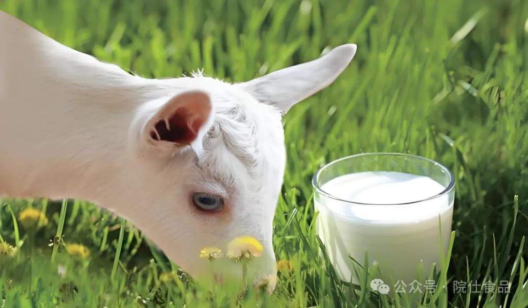 中老年如何补硒减肥最好(补硒减肥吗)-硒宝网