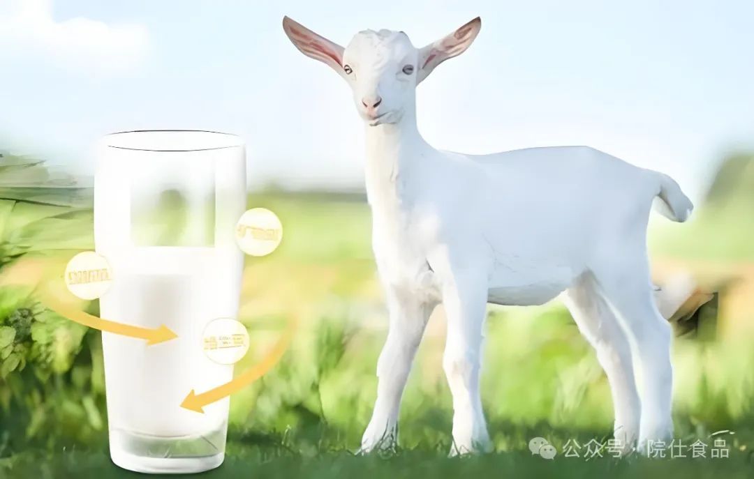 中老年如何补硒减肥最好(补硒减肥吗)-硒宝网