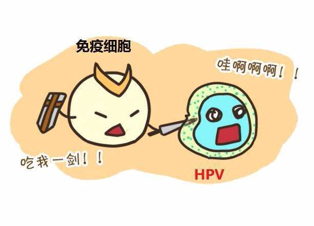hpv治好了需要补硒吗（得了hpv补硒）-硒宝网