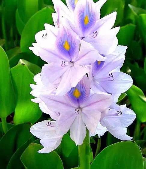 慢性肠炎补硒有什么好处(硒对肠炎的作用)-硒宝网