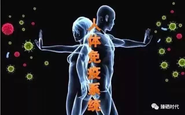 哪个地区不用补硒的植物（植物硒补多了对人体有害吗）-硒宝网