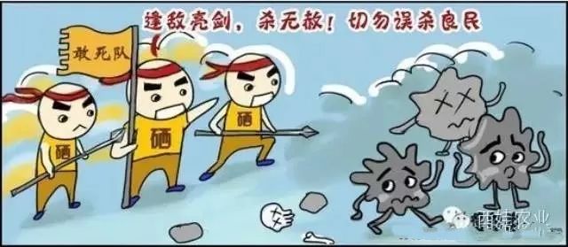 迈阿密抑瘤实验补硒多少（美国迈阿密硒癌症实验）-硒宝网