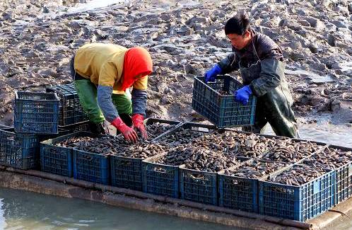 甲亢补硒食物孕妇吃多少（甲亢孕妇可以吃硒酵母片吗）-硒宝网