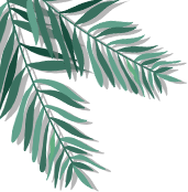 甲亢补硒食物孕妇吃多少（孕妇补食物吃甲亢硒片可以吗）-硒宝网