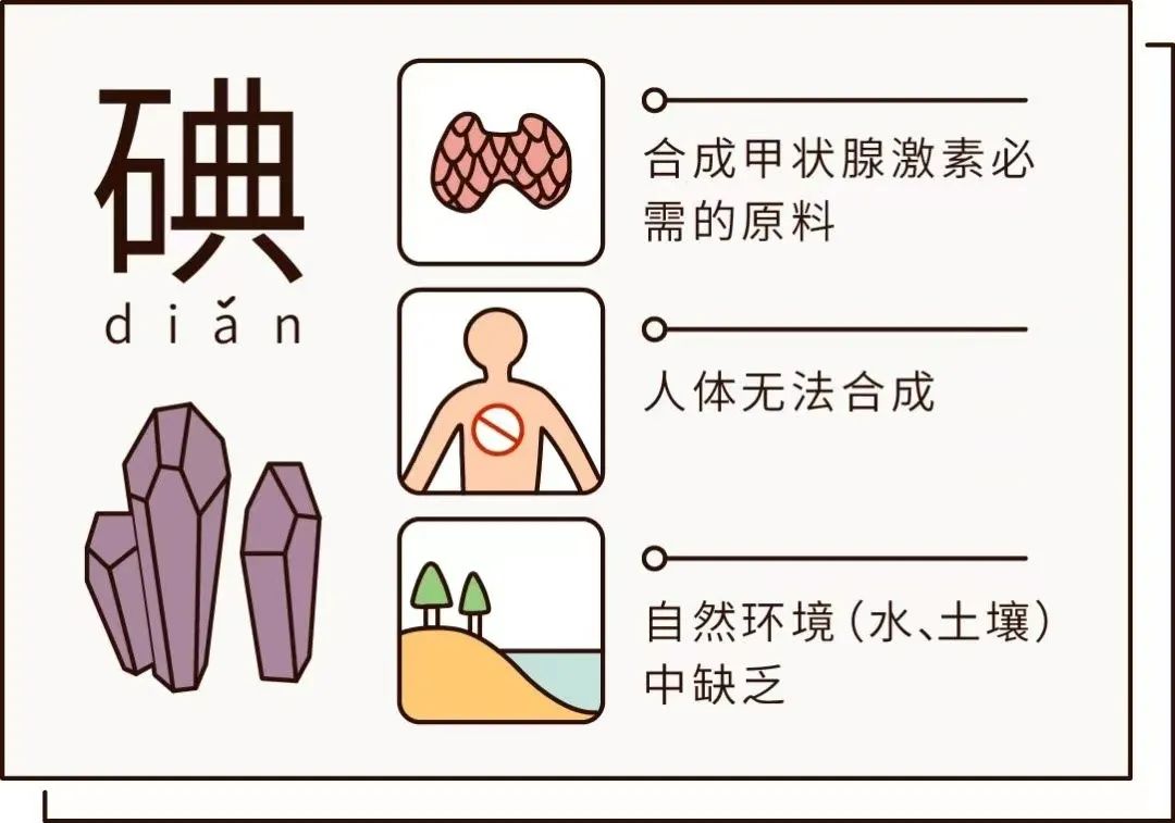 甲亢补硒食物孕妇吃多少（孕妇补食物吃甲亢硒片可以吗）-硒宝网