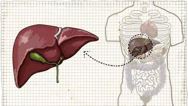 平时吃饭补硒吗好吗女性（女生补硒有什么好处）-硒宝网