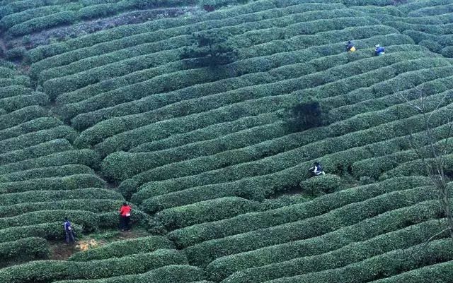 平时吃饭补硒吗好吗女性（女生补硒有什么好处）-硒宝网