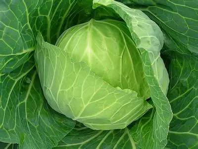 女人补麦芽硒好吗吃多久（补充麦芽硒到底好不好）-硒宝网