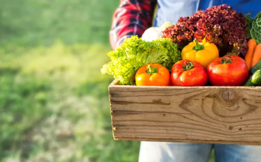 补硒过量导致胆固醇升高（摄入胆固醇过高）-硒宝网