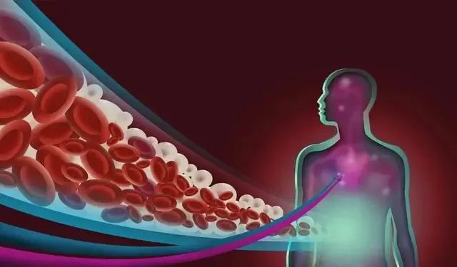 补硒过量导致胆固醇升高(摄入高胆固醇的会长胖吗)-硒宝网