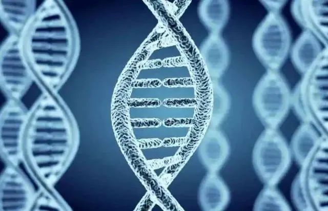 补硒过量导致胆固醇升高(摄入高胆固醇的会长胖吗)-硒宝网