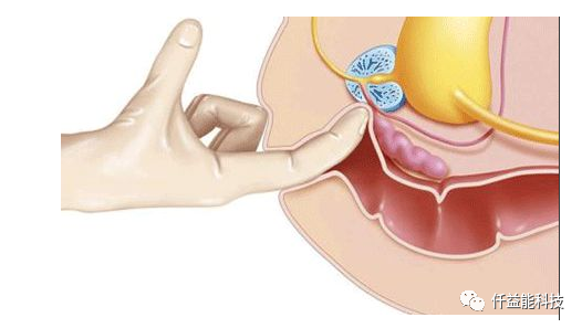 男性补锌补硒有什么作用(男性补锌硒能够壮阳是真的吗)-硒宝网