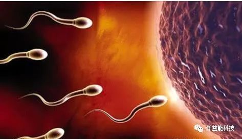 男性补锌补硒有什么作用（男性补锌硒有什么作用）-硒宝网