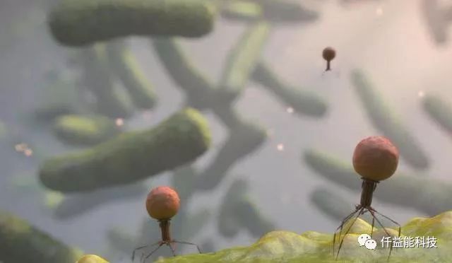 男性补锌补硒有什么作用（男性补锌硒有什么作用）-硒宝网