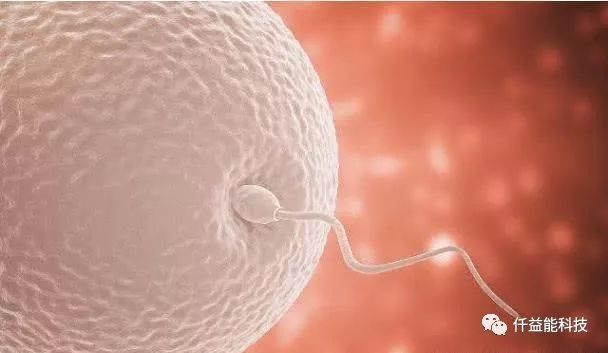 男性补锌补硒有什么作用（男性补锌硒有什么作用）-硒宝网