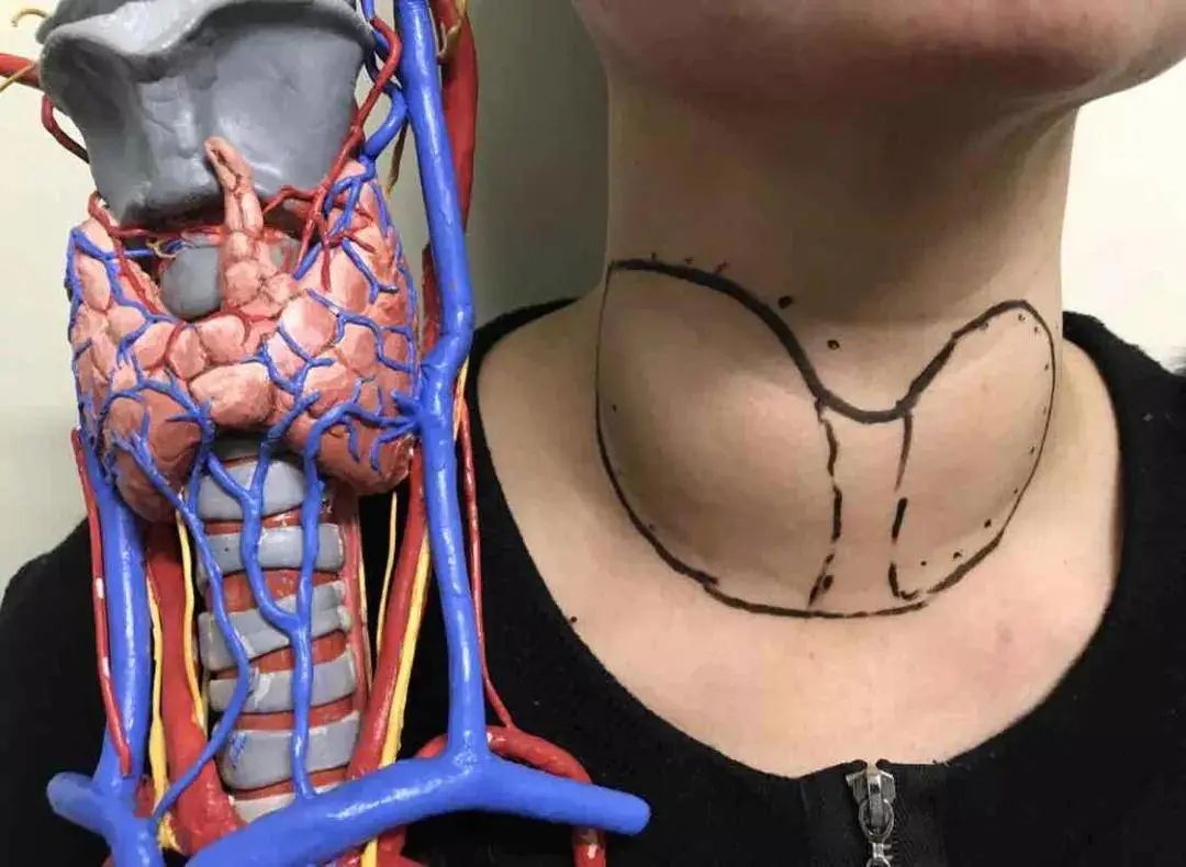 甲状腺要吃什么补硒药物（甲状腺吃补硒的药）-硒宝网