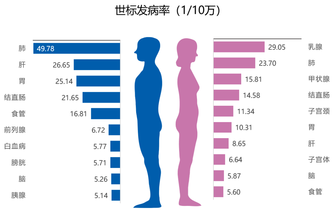女性怎样合理补硒元素呢（女性补充硒有什么好处）-硒宝网