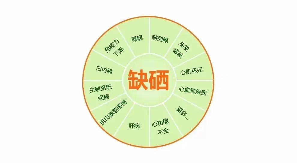 甲亢患者补硒吃什么好呢（甲亢补充硒有效果吗）-硒宝网