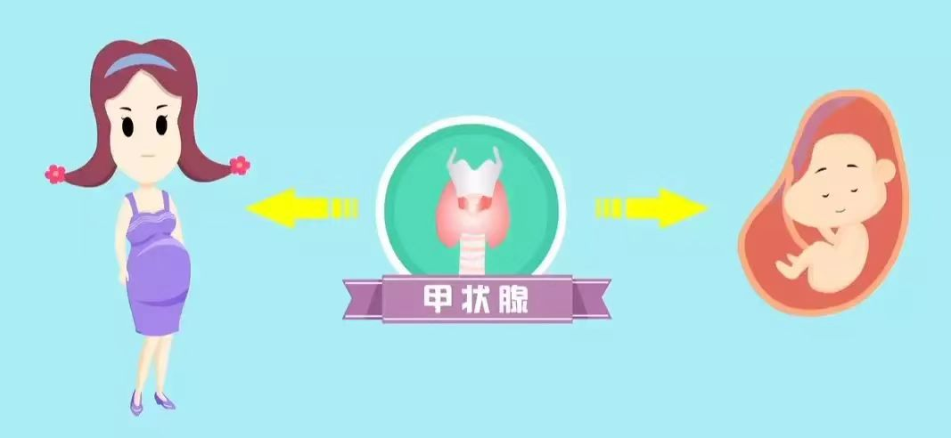 甲状腺补硒有效果吗女性(甲状腺疾病补硒)-硒宝网