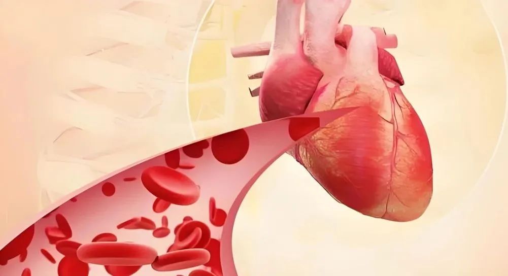 体内补硒好吗吃什么食物(食补硒吃什么好)-硒宝网