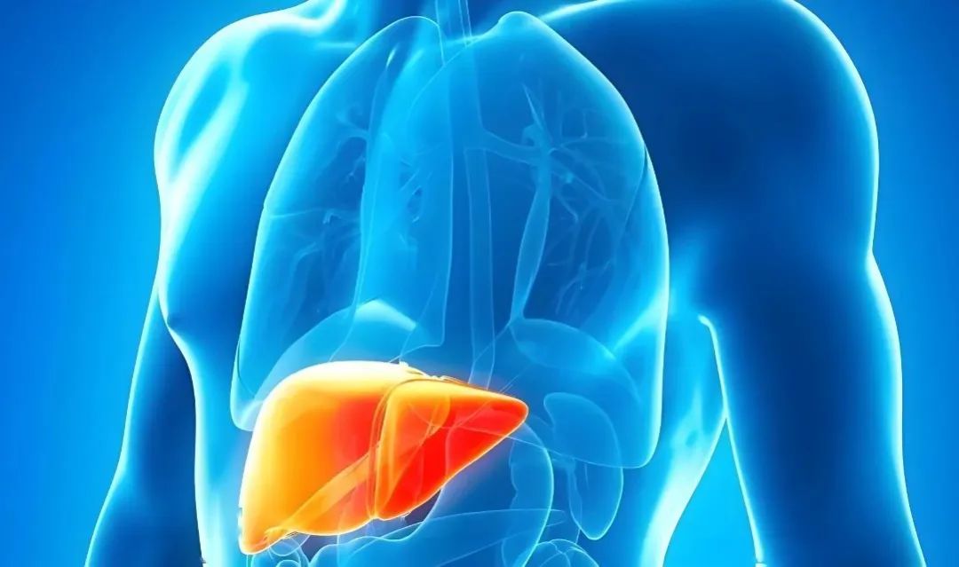 体内补硒好吗吃什么食物(食补硒吃什么好)-硒宝网