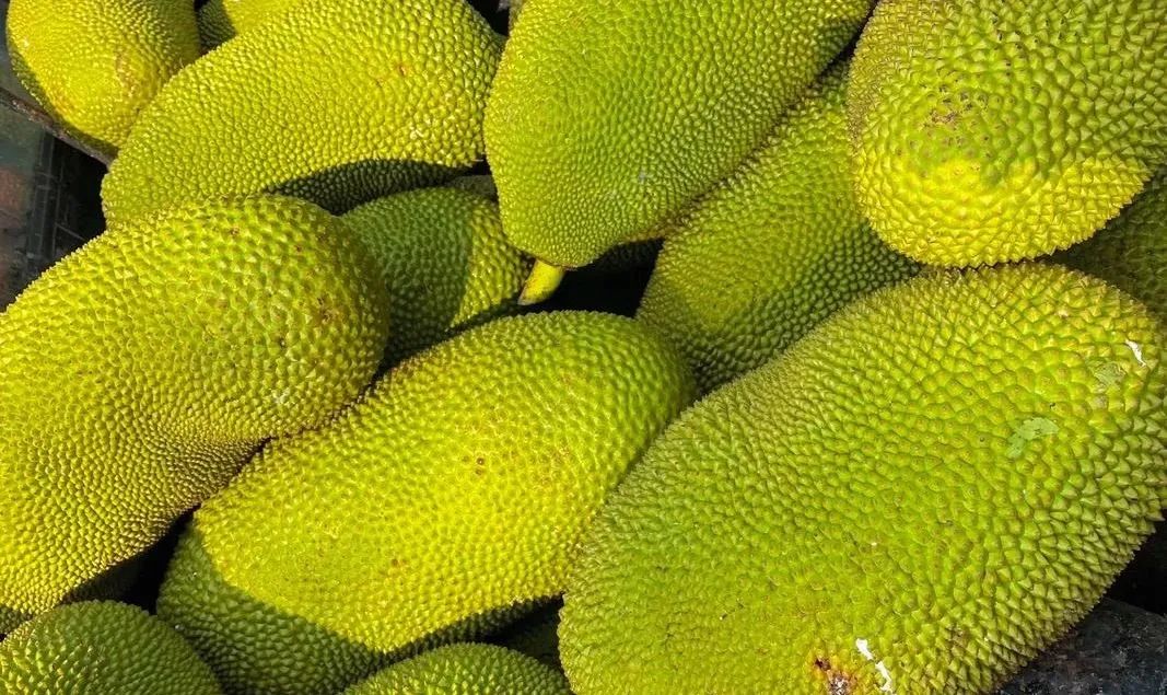 体内补硒好吗吃什么食物(食补硒吃什么好)-硒宝网