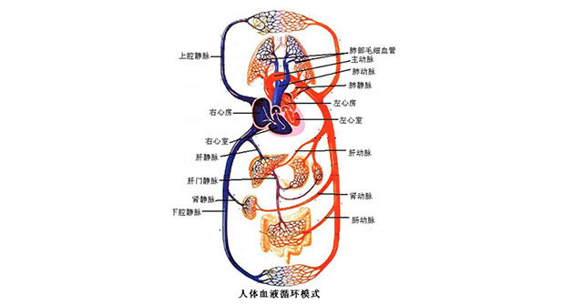 补硒怎么血糖比以前还高(以前血糖补高硒还是低硒)-硒宝网