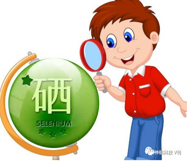 什么年龄补硒最好吸收好（补硒的年龄）-硒宝网