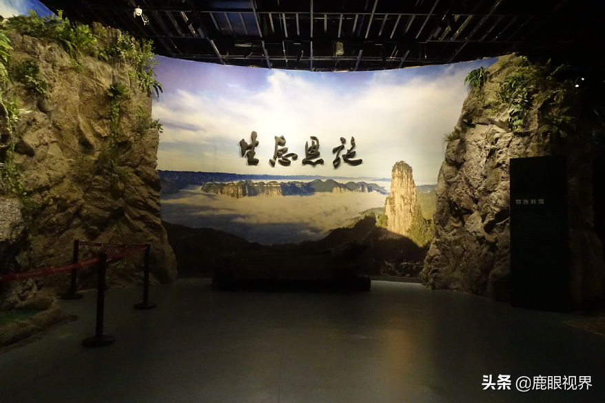 科学补硒 健康生活柳州(科学补硒 健康生活柳州)-硒宝网