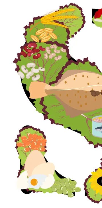 国家为什么提倡全民补硒(国家号召全民补硒吗)-硒宝网