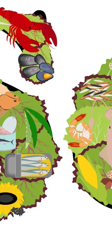 国家为什么提倡全民补硒(国家号召全民补硒吗)-硒宝网