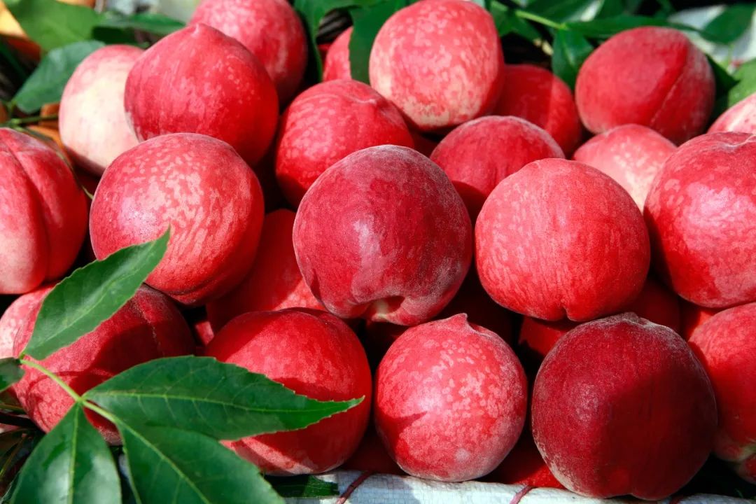 平时吃什么补硒效果最好(硒吃了好吗)-硒宝网