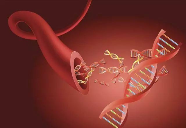 长期运动需要补硒吗女人(女生经常运动需不需要补钙)-硒宝网